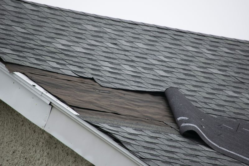 Asphalt Shingle Repair - Storm Damage Fix